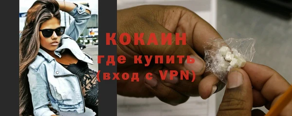 МДПВ Михайлов