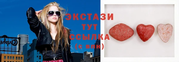 ECSTASY Богородицк