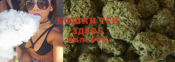 МДПВ Михайлов