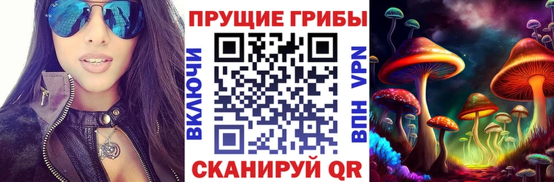Галлюциногенные грибы мицелий  Северская 